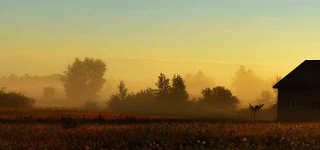 foggy morning